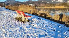 Rote Bank mit Schatten