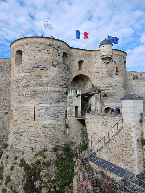 Le château d'Angers (49) pour Misou49 , que je n’ai pu rencontrer et qui habite Angers .