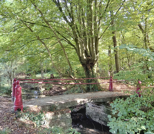 Sur la piste des loups - H.F.F.! Sur la piste des loups - H.F.F.!