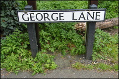 George Lane sign