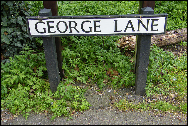 George Lane sign