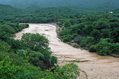 Rio de las Conchas - muddy waters