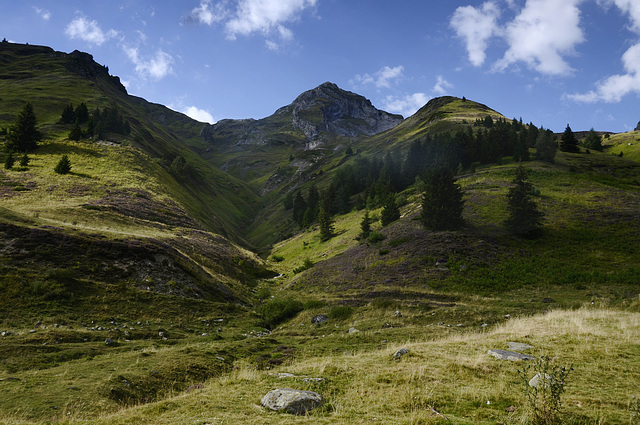 vers le col du Tourmalet