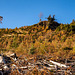 Llyn Crafnant3