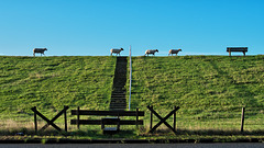 Auf dem Weg nach Santiago de Compostela