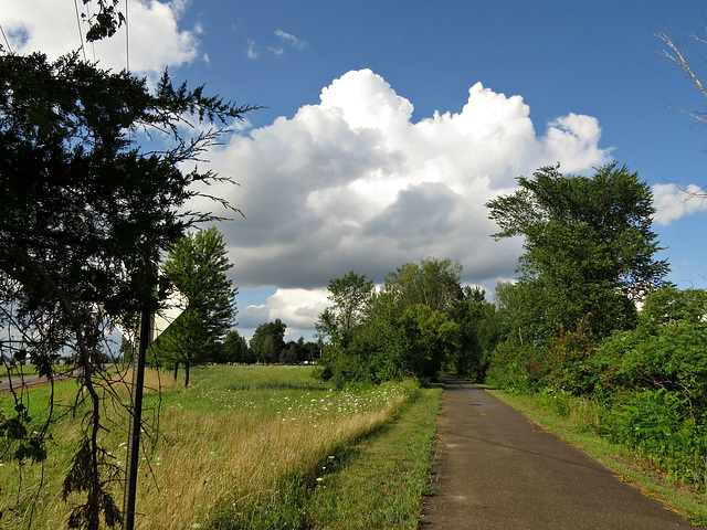 Polly Ann Trail