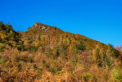 Llyn Crafnant4