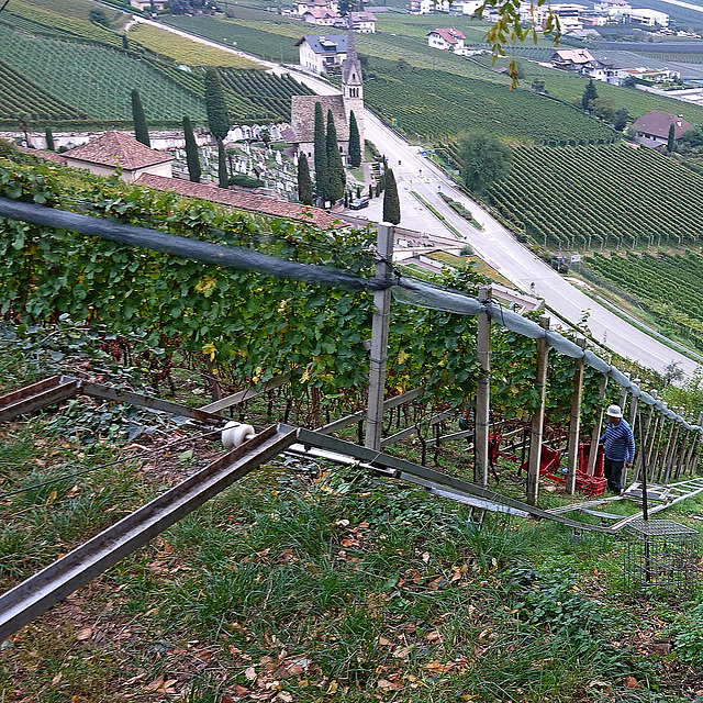 Lavoro an der Italienischen Weinstraße