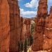 Navajo Loop Trail - 1986