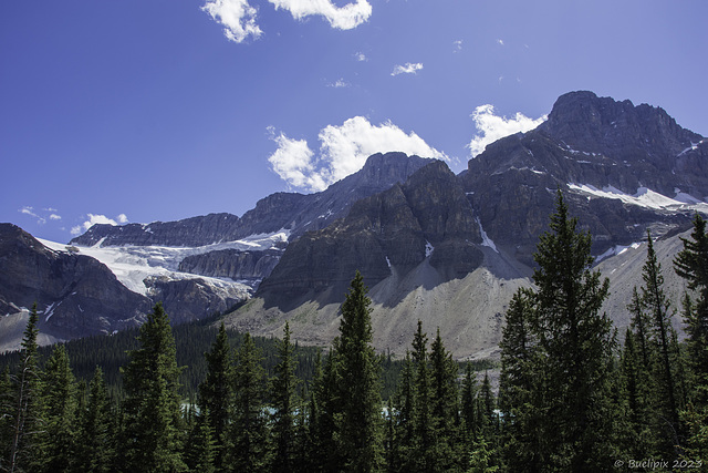 Aussicht vom Crowfoot Glacier Viewpoint (© Buelipix)