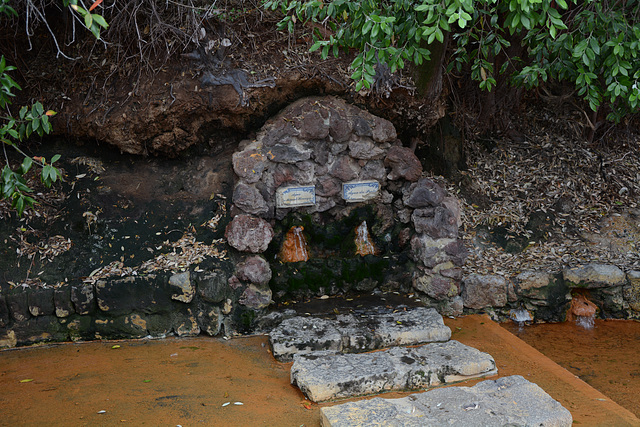 Azores, Island of San Miguel, Source of Ferrous Mineral Water in Furnas Valley