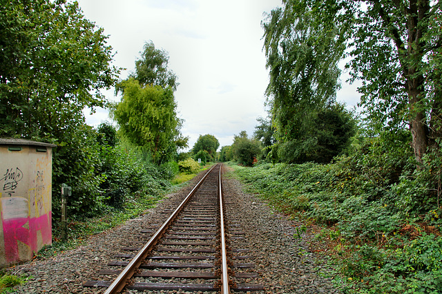 Bahnstrecke Winterswijk–Gelsenkirchen-Bismarck (Gladbeck) / 22.09.2018