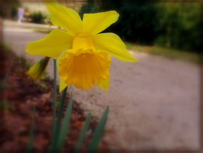 Belle journée ensoleillée ...........!