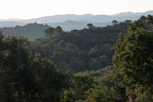 French country view in the morning