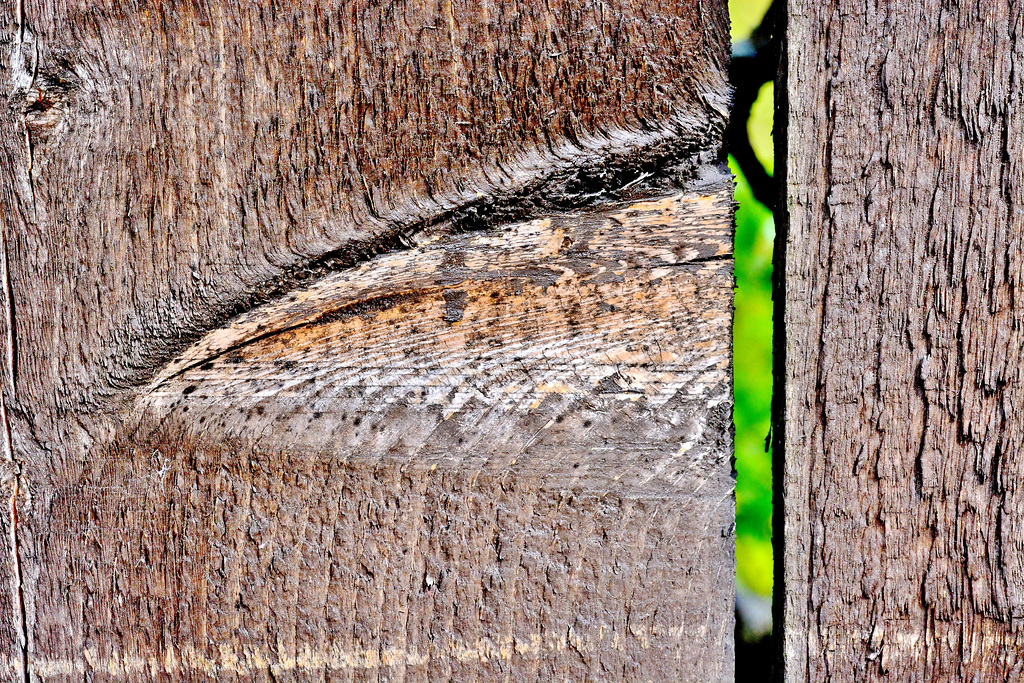 Fence 3