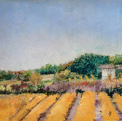 Paysage provençal