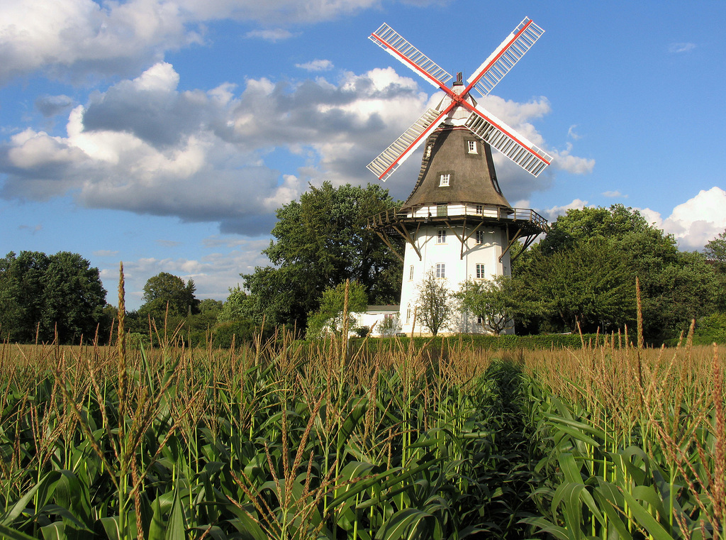 img_2753  (Bremen, Oberneulander Mühle)