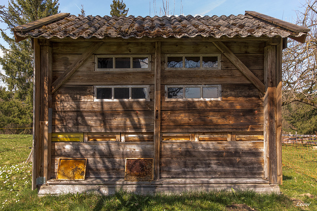 Bienenstock