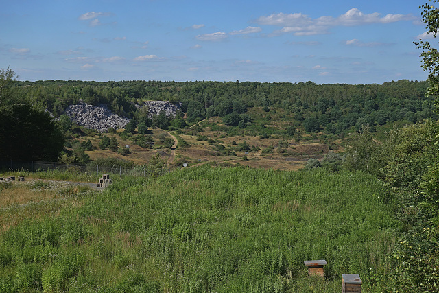 A last view down to the "Grube Messel"