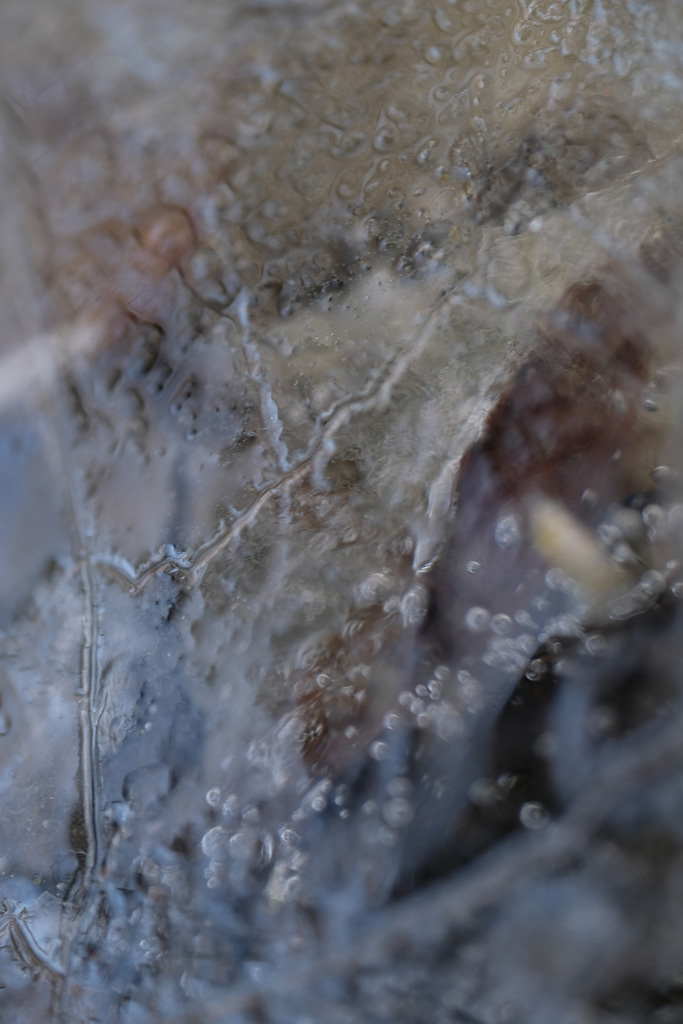 DSCF2641