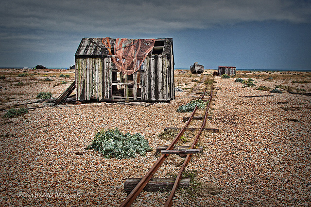 Dungeness Desolation l