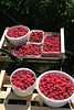 9 kg Himbeeren und 1 kg Erdbeeren