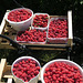 9 kg Himbeeren und 1 kg Erdbeeren