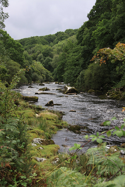 Dartmeet, Dartmoor