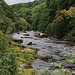 Dartmeet, Dartmoor