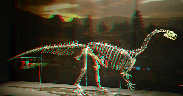 Naturalis Leiden 3D anaglyph