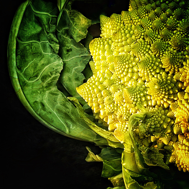 romanesco