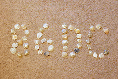 Pretty Sea Shells In A Totally Random Pattern
