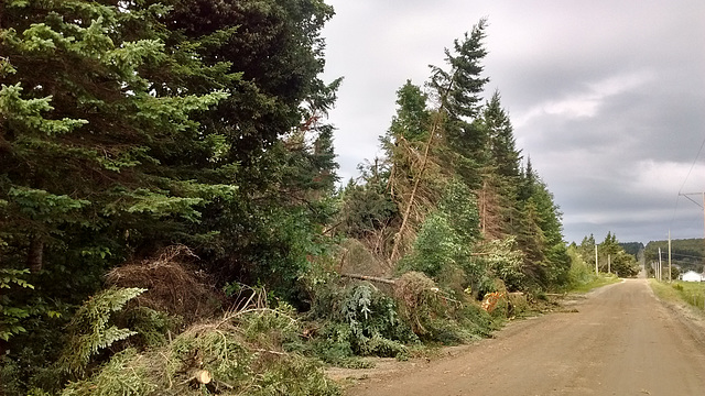 Après la tornade / After the tornado