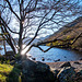 Llyn Crafnant6