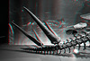 Naturalis Leiden 3D anaglyph