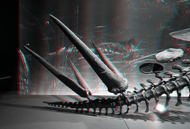 Naturalis Leiden 3D anaglyph