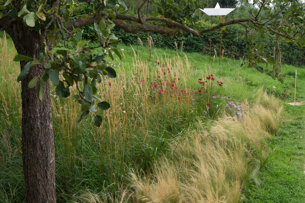Zülpich Landesgartenschau 2014 DSC07689