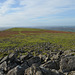 Dartmoor National Park Landscape