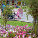 pink parasol