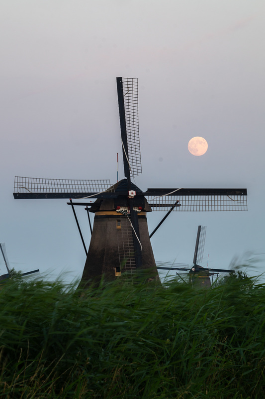 Niederlande - Kinderdijk