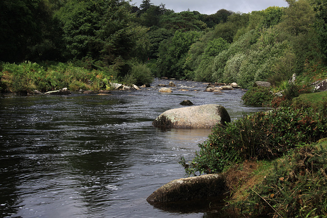 Dartmeet, Dartmoor