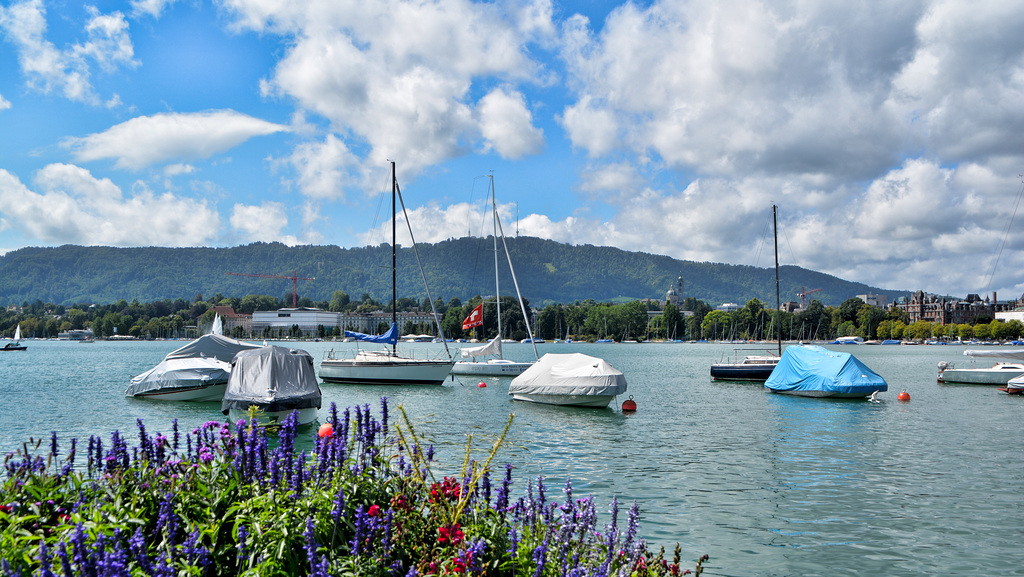Switzerland , Lake Zürich
