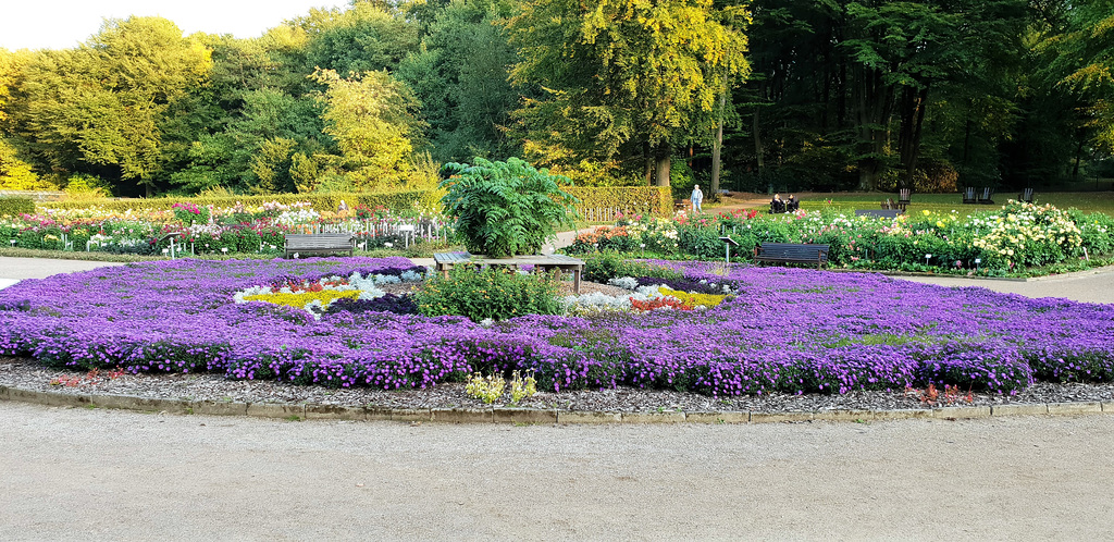 Dahliengarten