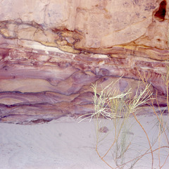 Sinai Colored Canyon