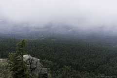 wenn der Nebel kommt ... (© Buelipix)