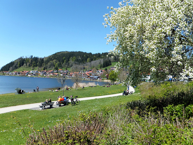 Frühling am Hopfensee. ©UdoSm