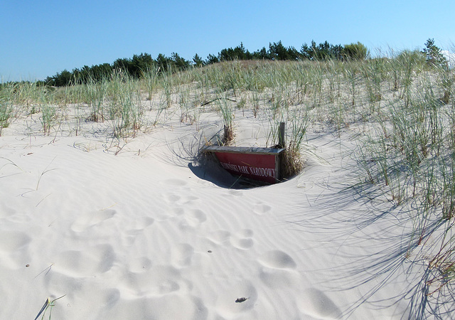 Die Dünen wandern.