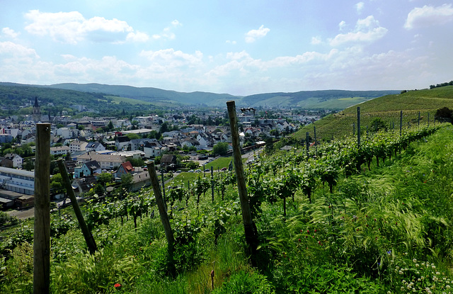 Blick auf Bad Neuenahr