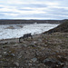 Banc de l'Artique / Artic benches