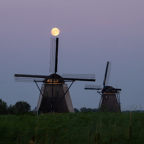 Niederlande - Kinderdijk